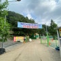 부산 근교 밀양 계곡 [물안개캠핑장]