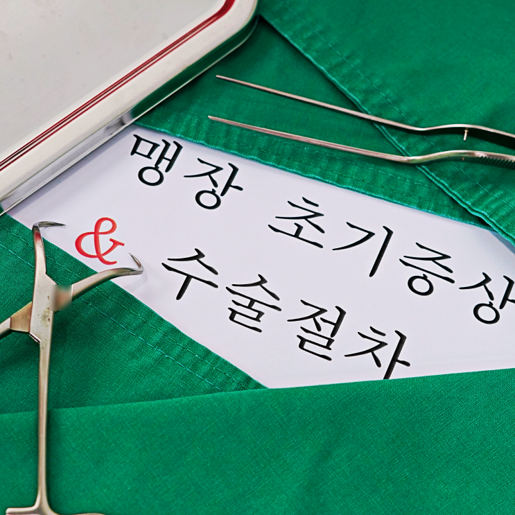 맹장 초기 증상과 맹장염 원인 알아보기 : 네이버 블로그