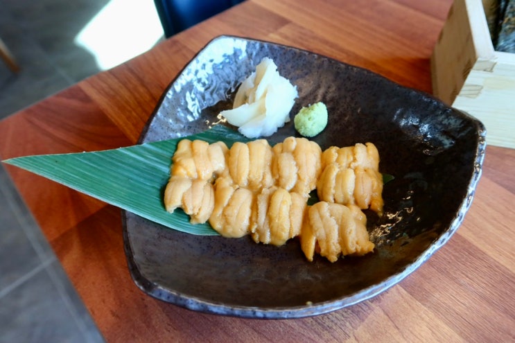 일산 주점 성게알 우니 맛집 : 네이버 블로그
