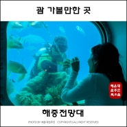 괌 자유여행 추천 피쉬아이 해중전망대 가보세요