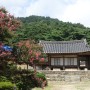 대전 근교 논산 가볼만한곳 여름 -명재고택 배롱나무와 한옥의 멋