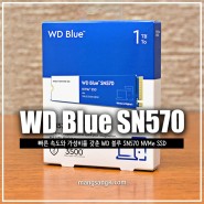 WD 블루 SN570 1TB M.2 NVMe SSD 노트북 추가 설치 후기