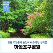 백일홍(배롱나무) 꽃과 송림이 어우러진 하동포구공원