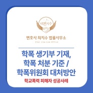 학폭 생기부 기재, 학폭 처분 기준, 학폭 위원회 대처방안 – 학교폭력 피해자 성공사례