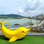 [Photo] 카페 바나나. 돌고래와 함덕해수욕장