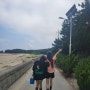 [여행] 서해 섬여행 호도 2박 3일 후기