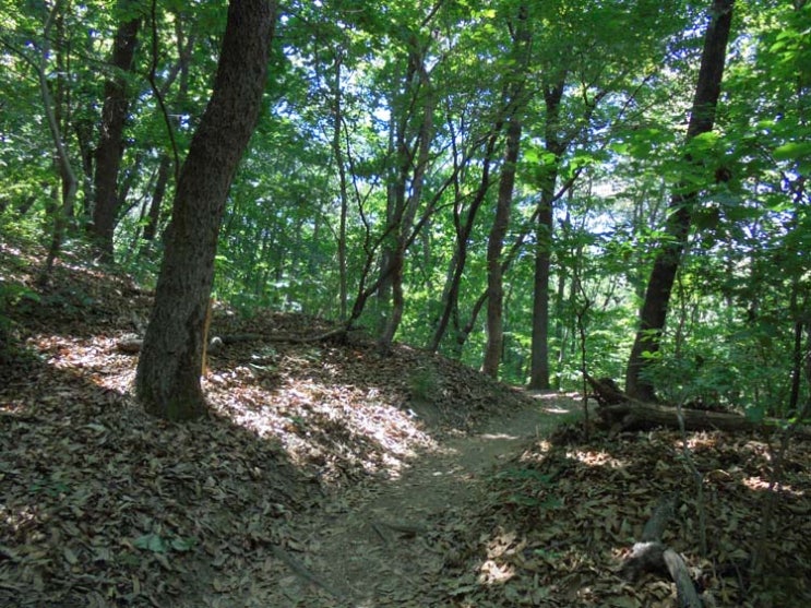 8월 둘째주(8.08일~8.14일) 주간 띠별운세 입니다 : 네이버 블로그