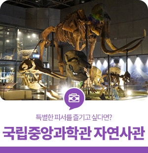 명소, 특별한 피서를 즐기고 싶다면? '국립중앙과학관 자연사관'