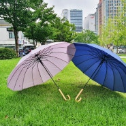 튼튼한 컬러포인트 장우산 장마철 대비 애트리 쇼핑 후기