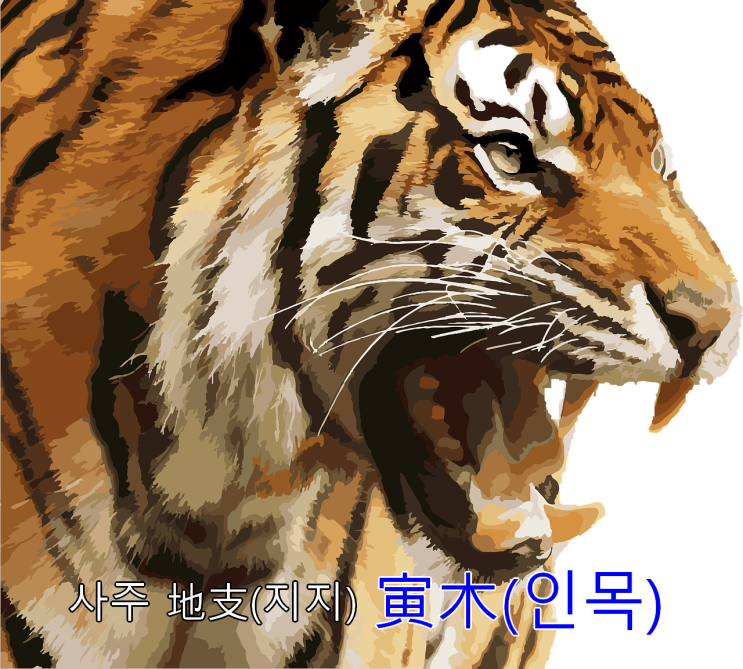 사주 地支(지지) 寅木(인목) 물상 : 네이버 블로그 사주 地支(지지) 寅木(인목) 물상 : 네이버 블로그