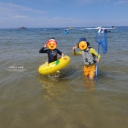 [포항] 아이들과 해수욕하기 좋은 오도리해변.