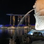 <2022년 8월 싱가포르> 이 시국 싱가포르 여행 고고!