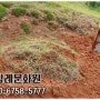 파주 묘지개장하는곳 묘지이장