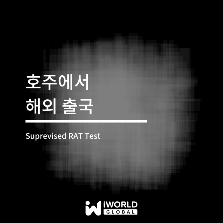 호주에서 해외 출국 (한국 입국) : RAT Test : 네이버 블로그