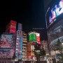 [Tokyo] 도쿄 여행 #3 도쿄도청 무료 전망대 / 아시아 최대 규모 LUSH 러쉬 신주쿠점 / 짐보관소 에크보