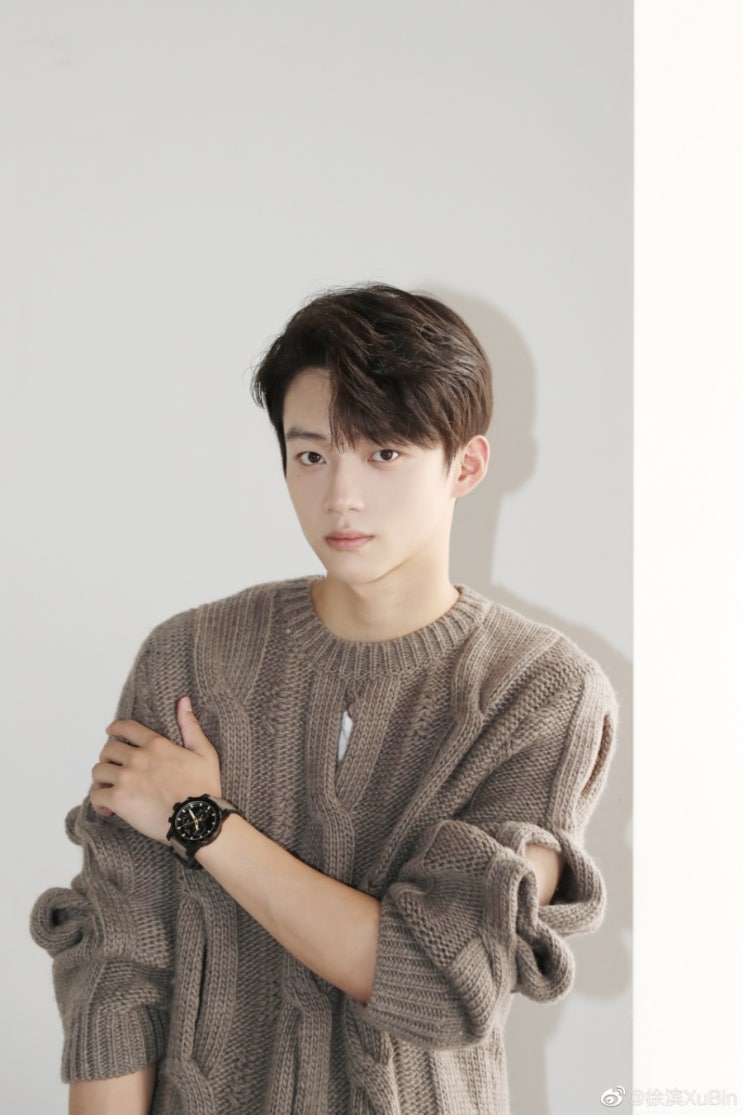 [중국배우] 서빈 프로필 웨이보(徐滨 Xu bin 쉬빈) : 네이버 블로그