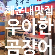 [맛집리뷰_내돈내산]해운대 꼼장어 맛집"우아한곰장어"