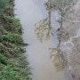 어제 일요일 동작대교 동쪽 구름카페, 서쪽 노을카페 난간에서 바라본 잿빛 한강