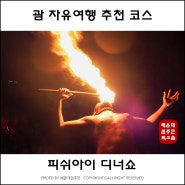 괌 가볼만한곳 후회 없는 피쉬아이 디너쇼