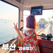 부산 해운대 블루라인파크 낭만의 해변열차와 스카이캡슐열차 탑승 후기