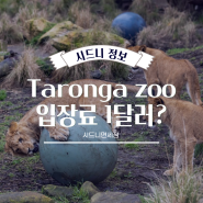 [시드니여행] 호주 시드니 동물원 Taronga zoo 입장료 1달러?!