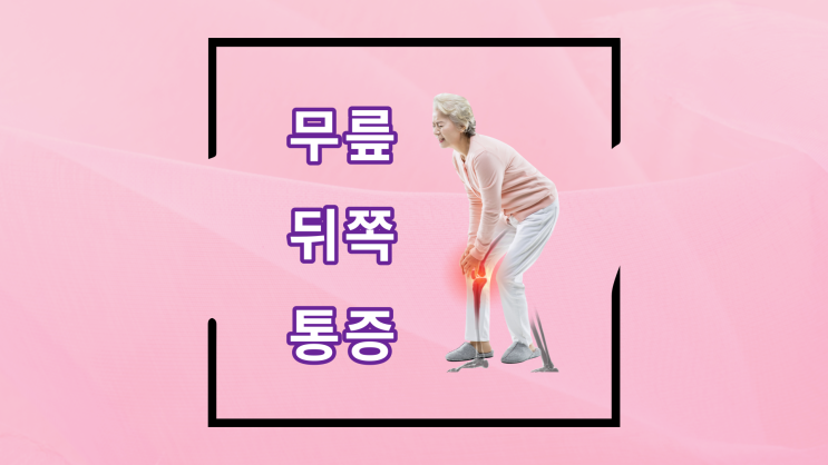 무릎 오금 통증 / 무릎 뒤쪽 통증 원인 질환 : 네이버 블로그