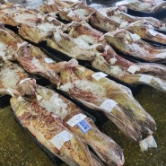 민어가격 민어예약배송 민어이번주출하 생선잡는복남이 목포민어 지도민어 보양식