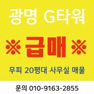 [광명 G타워] 20평대 급매 무피 매물 소개