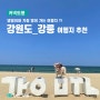 [강원도 강릉] 강아지동반 여행지 추천 (숙소 & 관광지)
