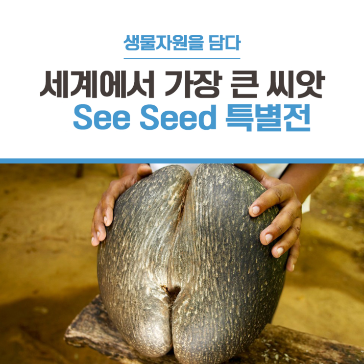 [생물자원을 담다] ‘세계에서 가장 큰 씨앗’을 실제로 볼 수 있는 특별전 씨씨(See Seed)! (feat. 씨앗 이름 초성 ...
