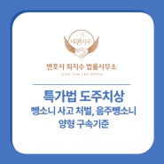 특가법 도주치상 뺑소니 사고 처벌, 음주뺑소니 양형, 구속기준은?