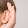 [청각학 이야기] 돌발성 난청 I - 세종보청기, 대전보청기