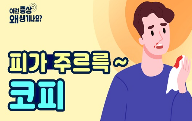 비출혈(Epistaxis, Nosebleeding) (1) - 코피가 나와요, 코피가 자주 나요, 코피가 안 멈춰요 - 해부학적 ...
