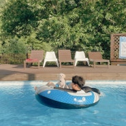 [양평애견동반펜션] 개인수영장과 프라이빗한 독채풀빌라 “양평포독스”