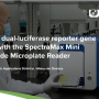 SpectraMax Mini Multi-Mode Microplate Reader 를 사용한 dual-luciferase reporter gene 활성의 측정