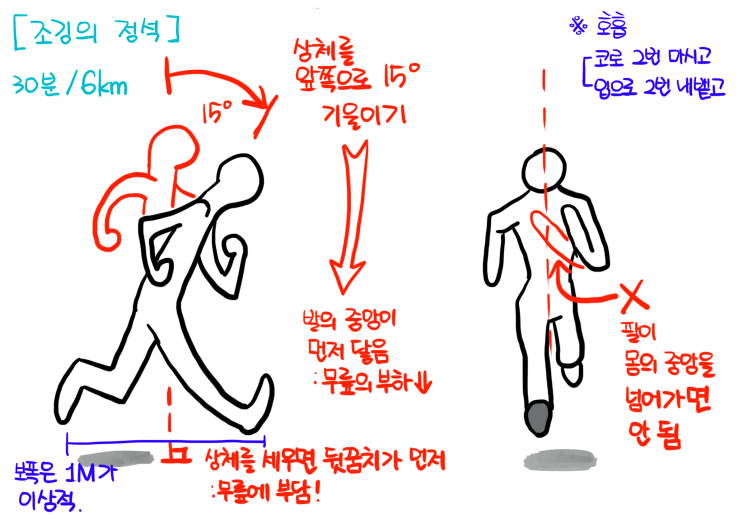 [운동] 초보를 위한 조깅 방법과 자세 정리-내가 초보라서 ㅇㅇ : 네이버 블로그