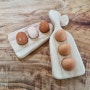 호주산캄포 반가공 계란트레이 판매