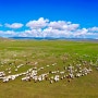 몽골 고비사막 여행기