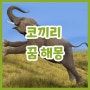 코끼리 꿈해몽