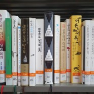 계룡 여름 북캉스 시립도서관 추천 이색데이트 장소