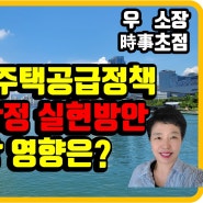 8.16 대책 국민 주거안정 실현방안,부산더샵센텀포레 센텀비스타동원 수영현대