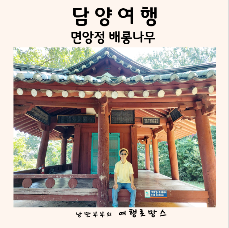 담양 여행 광주 근교 가볼만한곳 담양 배롱나무 핀 면앙정 : 네이버 블로그