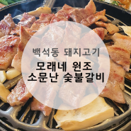 [백석동 돼지고기] 도드람 한돈 숯불구이