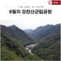 '그해, 순창은' 장기 프로젝트, 8월의 강천산 군립공원