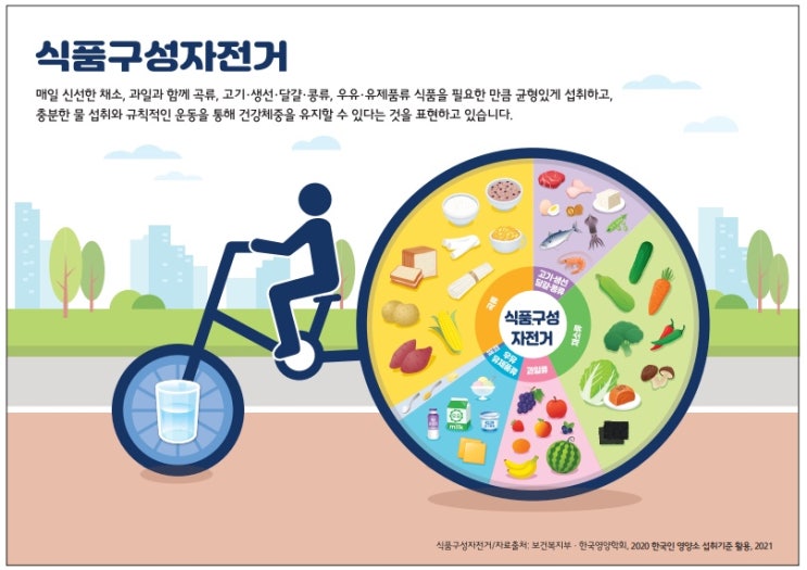 2020 한국인 영양소 섭취기준 활용 - 식품구성자전거 이미지 개정 ::: 유지 당류 자전거에 추가 : 네이버 블로그