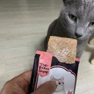 고양이화식 하이독 토빈즈챱 음수량 걱정없는 고양이 습식 사료