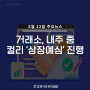 [주식정보] 8월 22일 주요뉴스~!거래소, 내주 중 컬리 '상장예심' 진행