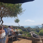 뉴질랜드 북섬 여행 와이헤케 섬 Waiheke Island 어학연수 워홀