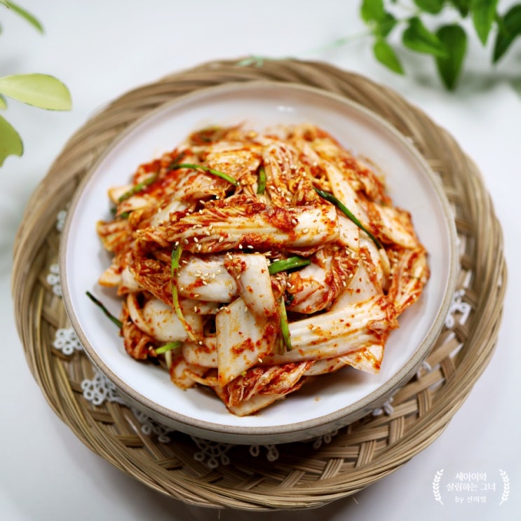 알배기 배추겉절이 만드는 법 양념맛 이렇게~ 여름배추김치담그기 : 네이버 블로그