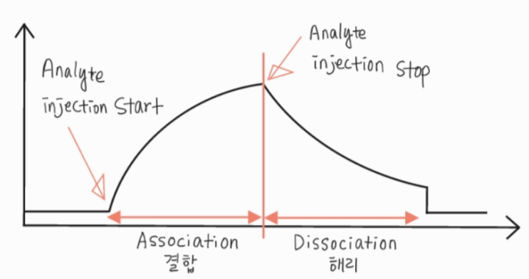 [단백질 분석법] SPR 기법과 결합 친화도(Binding affinity) : 네이버 블로그